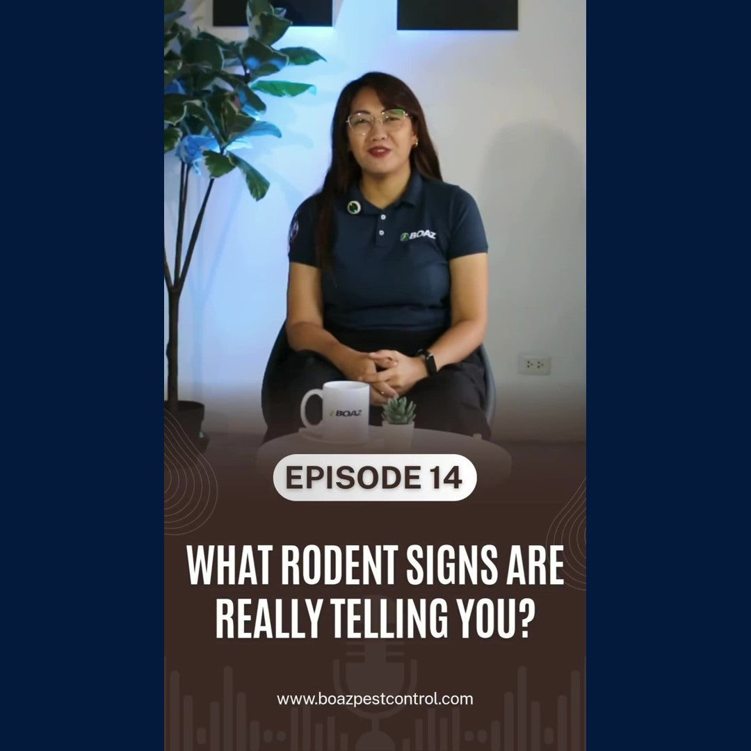What Rodent Signs Are Really Telling You?